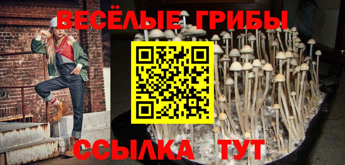 Псилоцибиновые грибы мухоморы Лангепас